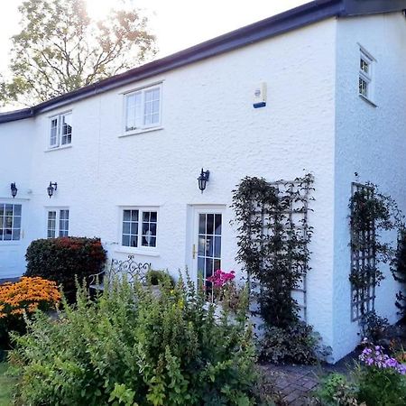 Rhos Y Bel Cottage Angelsey Llangadwaladr  Ngoại thất bức ảnh